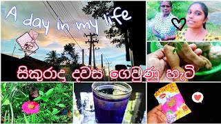 සුන්දර දවස් හරි ඉක්මනින් ගෙවිලා යනවා ? Day vlog ??? sinhalavlogs  ??