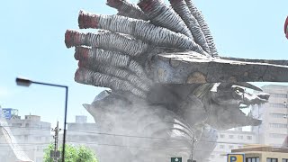 Bagrigon (バグリゴン) Scene Pack