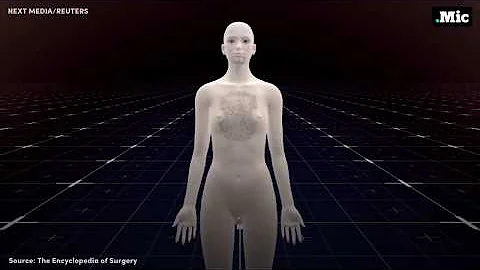 Co je kvalitativní proměnná?