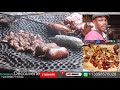 Smoked Pork In Kinshasa Congo Ngulu Ya Kapela Congolese Food