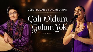 Güler Duman & Sevcan Orhan - Çalı Oldum Gülüm Yok