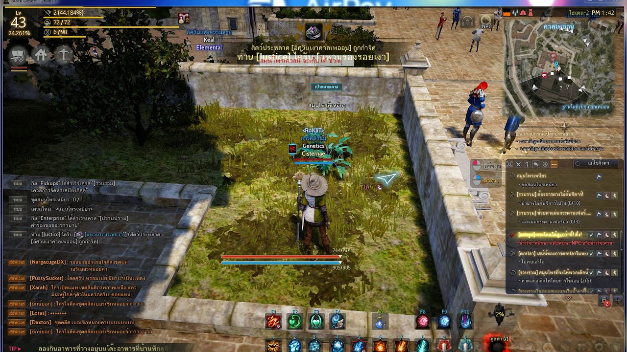Black Desert Online [TH] Quest สมุนไพรเหนียว YouTube
