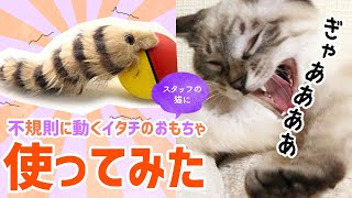 【猫グッズ】通販で気になった動くイタチのおもちゃを使ってみた【レビュー】