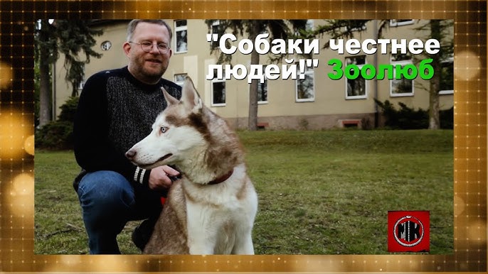 Зоофилия  Зоофилия и скотоложество в классическом искусстве: grigvas — LiveJournal
