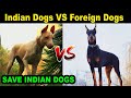 Indian vs Foreign Dog Breeds : Save Indian Dogs : Dog VS Dog : TUC