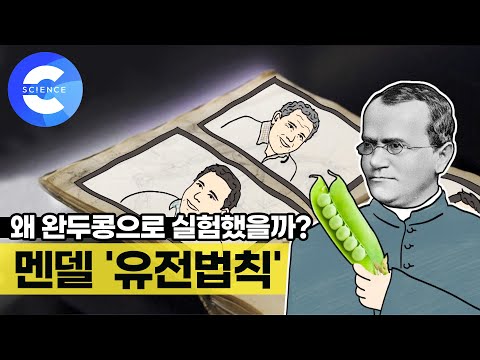 &rsquo;한 컷의 과학&rsquo; 멘델의 유전법칙