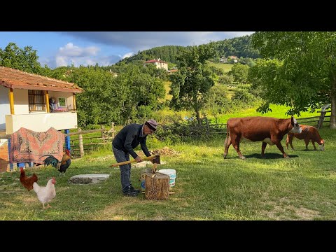 Video: Modern köy. köy kültürü