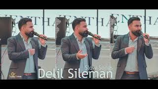 Delil sileman | Slow Songs | الفنان دليل سليمان اجمل اغاني سلو 2020