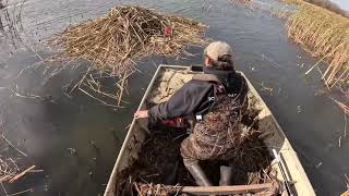 Download Lagu Just nonstop muskrat action! MP3