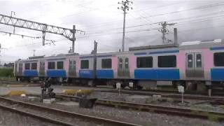【高速通過】HB-E210が踏切を通過