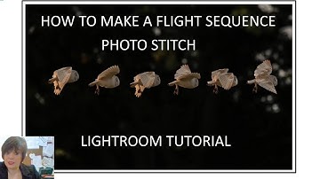 How To Make A Flight Sequence Photo Stitch Using Adobe Lightroom And Paint.net