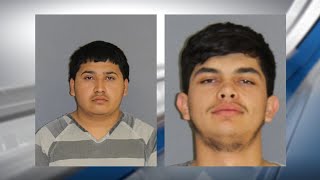 Sulphur Springs men arrested after 12 stolen cows found in neighboring county