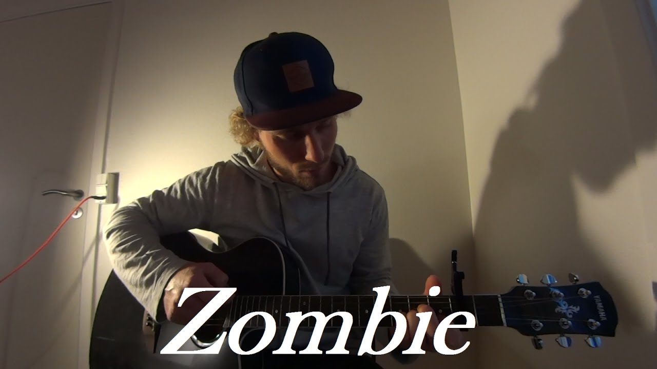 The Cranberries Zombie (Acoustic cover by Peter) YouTube