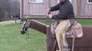The Cutters Cross - Steve Lantvit Horseman