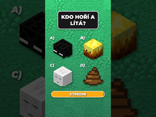 Minecraft Kvíz Ep20 – Kdo hoří a zároveň lítá? 🔥