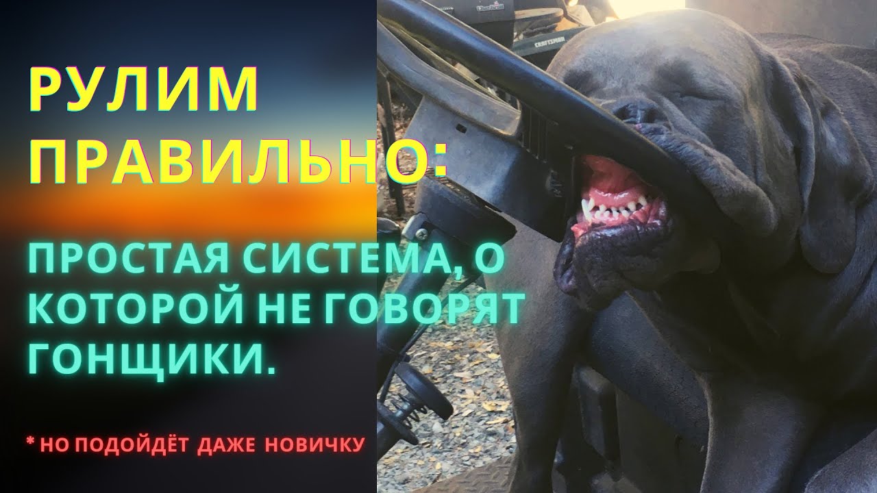 Рулим карс аренда авто