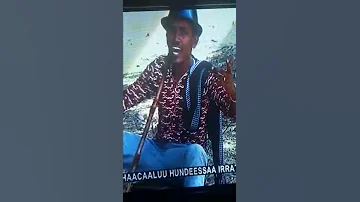 Haacaaluu Hundeessa Wolalo Aja Iba 