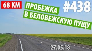 Пробежка В Беловежскую Пущу 68Км #Alekseytoday 438