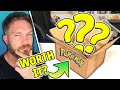 *Should you buy a Pokemon mystery box in 2020* // £65 mystery box