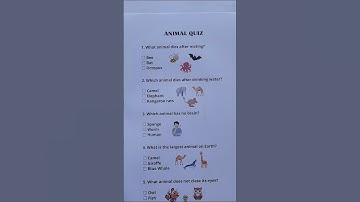 Can you get 7/7? #quiztime #trivia #quiz