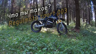 Regulmoto sport 003 после 4800 км пробега.