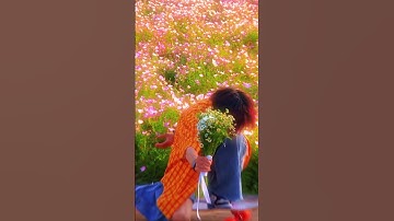 Thumbnail of So beautiful 😍😍 #song #newsong #music #bollywood #love #reels #nature #bollywoodcoversongs #flowers