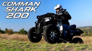 Квадроцикл Comman SHARK 200 - для кого и для чего? Или как подобрать квадроцикл.