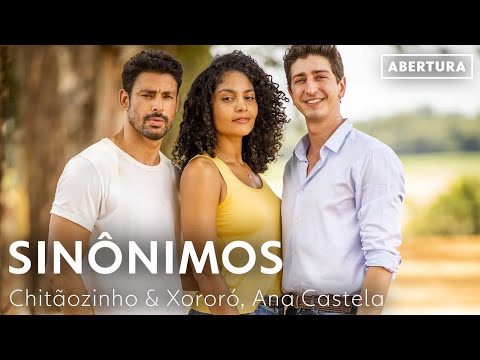 Sinônimos': Música quase foi de Zezé e Luciano, mas virou hit de novelas  com Chitãozinho, Xororó e até Ana Castela, Música