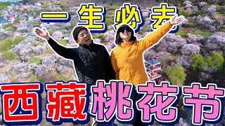 【川藏旅游EP5】樱花看闷了就来这马来西亚人盘点林芝最美桃花节哪个最好