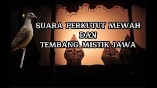 Suara perkutut mewah dan Tembang mistik jawa