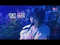 原由子 のポピュラー曲 - 原由子 クラシックソング  - 日本女性原由子 の名曲 メドレー - 全曲集 原由子