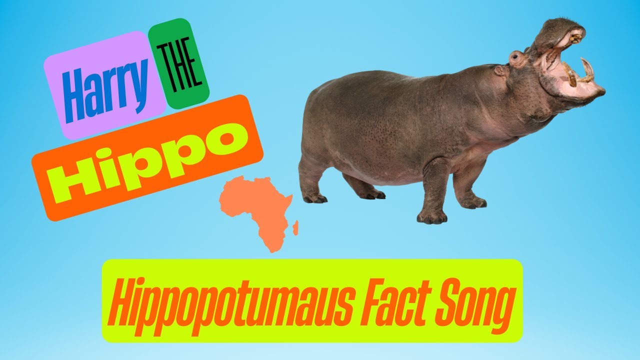 Harry the Hippo