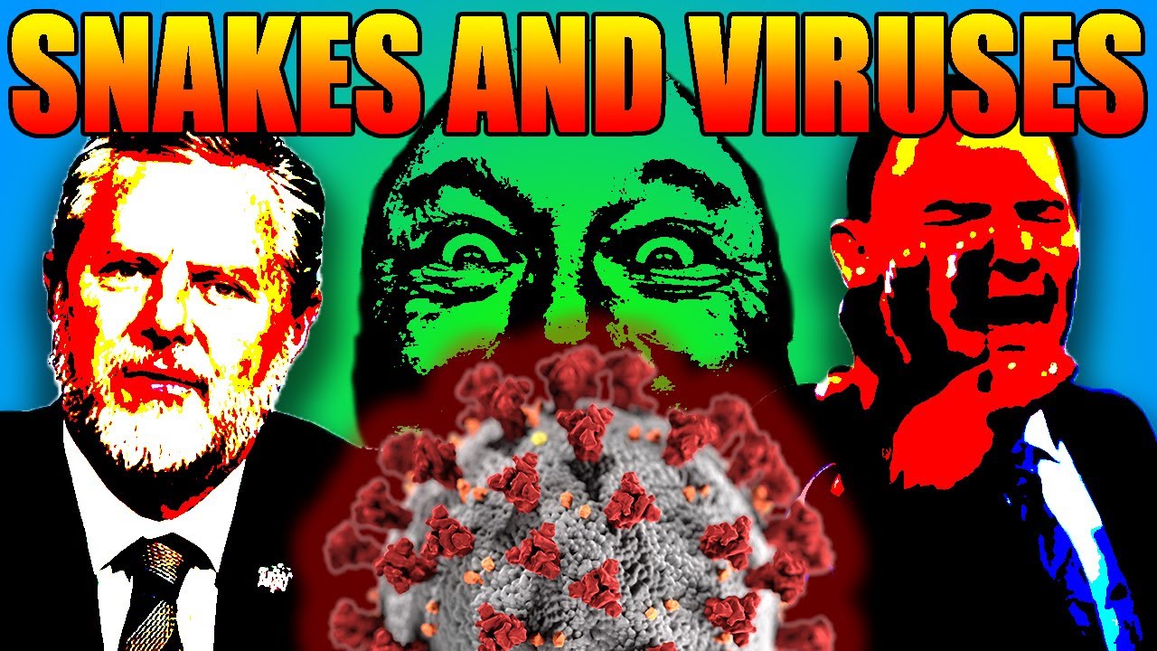 SNAKES AND VIRUSES - YouTube