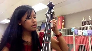 Two octave D Major scale bass tutorial