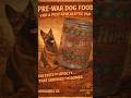 WastelandFM-The Same Dogmeat?