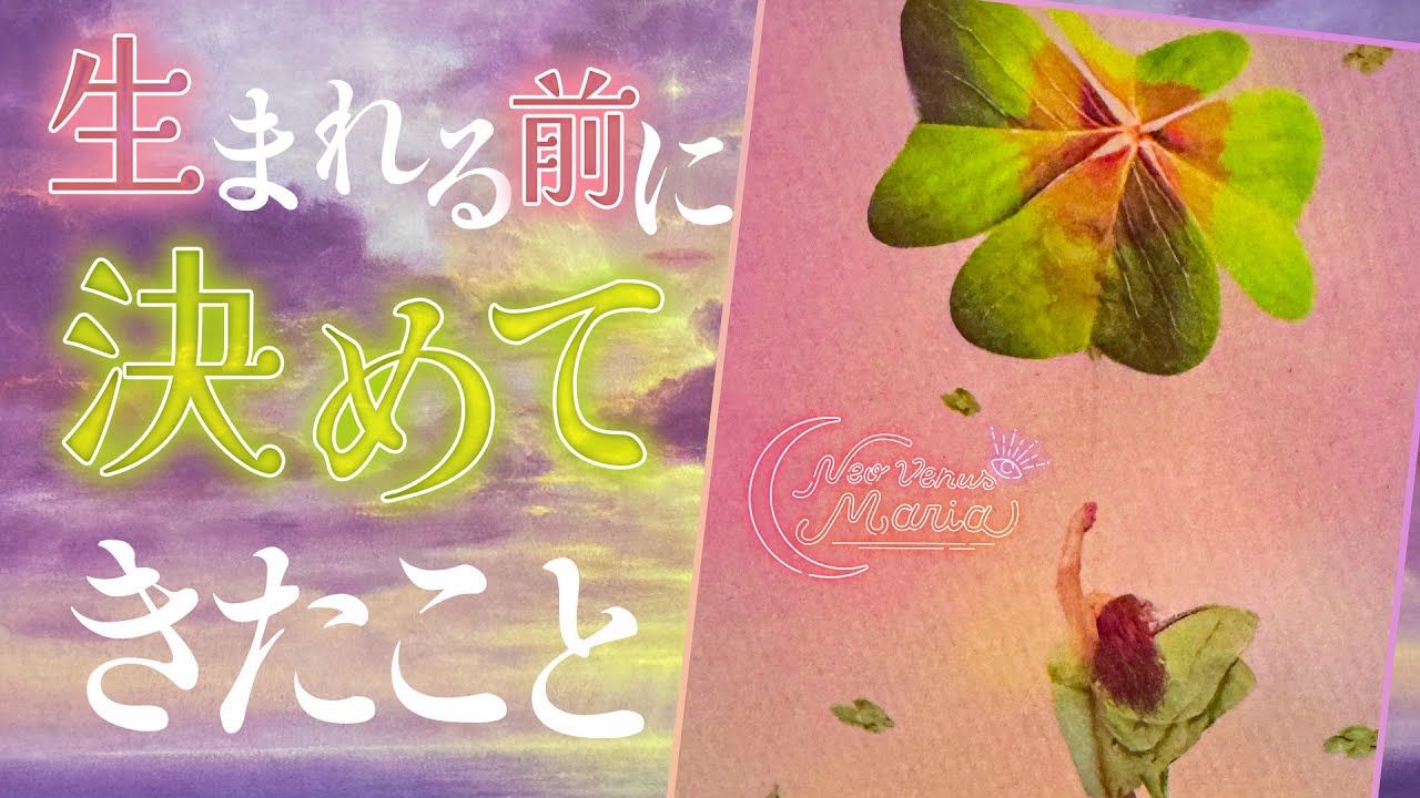 自分で選んだ運命☘️ あなたが生まれる前に決めてきたこと👼 [女神のタロット・オラクルリーディング]