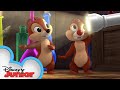 Mickey's Fireworks Fizzle | Chip 'N Dale's Nutty Tales | Disney Junior