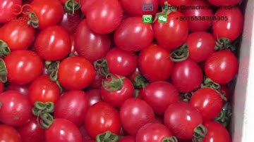 Cherry Tomato Grading Machine/Vegetable and Fruit Grading Machine