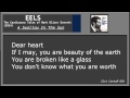 EELS - A Swallow In The Sun {lyrics}