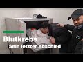 Letzter Abschied eine Vaters der seine 6 j. Tochter durch Blutkrebs verloren hat @Help Dunya e.V.