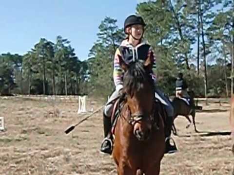 cours de saut en caroline (robinson stables)