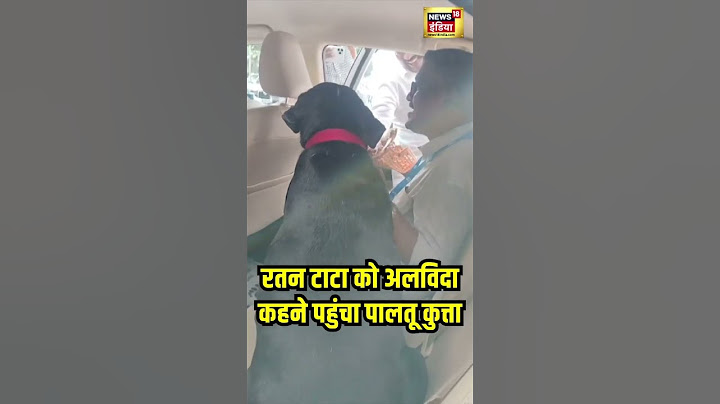 Ratan Tata Death : रतन टाटा के पालतू डॉगी 'गोवा' ने भी उन्हें श्रद्धांजलि दी | N18S | #shorts