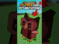 XP Trick For Pet Mutation