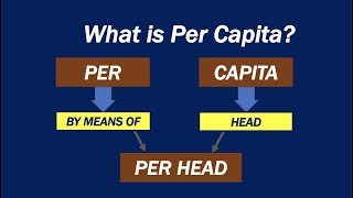 What is Per Capita?