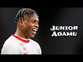 Junior Adamu Fähigkeiten Und Ziele Höhepunkte