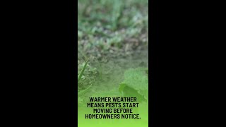 Spring Awakening in Plano Starts With Prevention