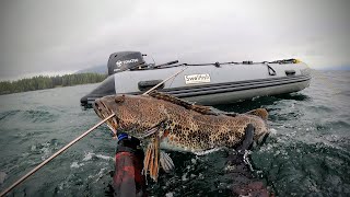 2024 Spearfishing Season opener Vancouver Island: Lingcod!