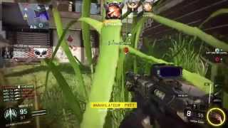 BO3 QUAD LOCUS