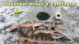 ЛОВЛЯ ОКУНЯ ЗИМОЙ НА МОРМЫШКУ С МОТЫЛЁМ - ПРАВИЛЬНЫЙ ПРИКОРМ + ПРОВОДКА рыбалка в декабре 2020