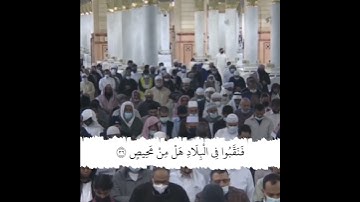 قبس من الحرم سورة ق الشيخ علي الحذيفي